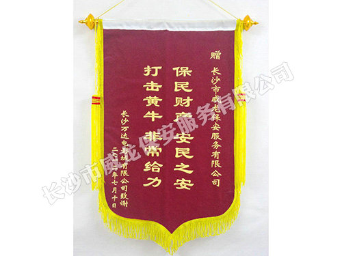 万达影院授予我司锦旗