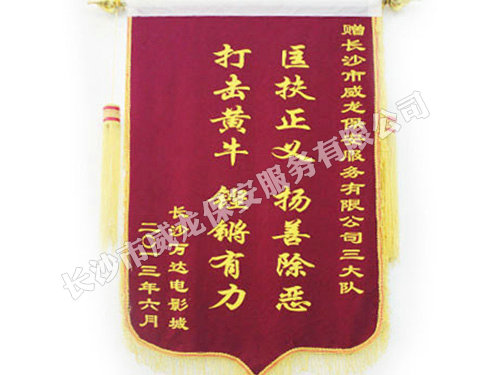 长沙万达电影城授予我司锦旗
