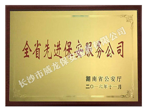 全省先进保安服务公司