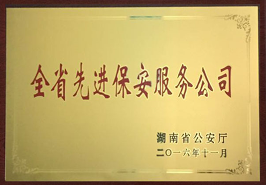 长沙市威龙保安服务有限公司,威龙保安服务,长沙保安公司,湖南保安服务,银行保安,安保公司,明星安保