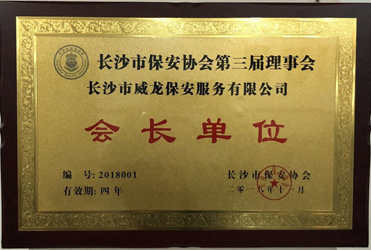 长沙市威龙保安服务有限公司,威龙保安服务,长沙保安公司,湖南保安服务,银行保安,安保公司,明星安保