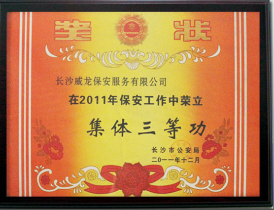 长沙市威龙保安服务有限公司,威龙保安服务,长沙保安公司,湖南保安服务,银行保安,安保公司,明星安保