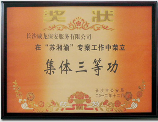 长沙市威龙保安服务有限公司,威龙保安服务,长沙保安公司,湖南保安服务,银行保安,安保公司,明星安保