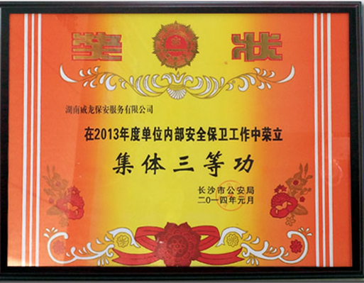 长沙市威龙保安服务有限公司,威龙保安服务,长沙保安公司,湖南保安服务,银行保安,安保公司,明星安保
