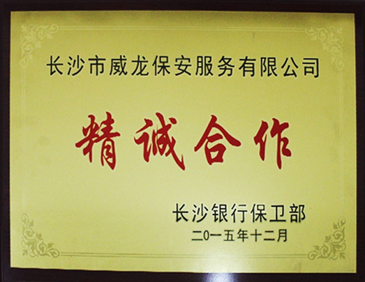 长沙市威龙保安服务有限公司,威龙保安服务,长沙保安公司,湖南保安服务,银行保安,安保公司,明星安保