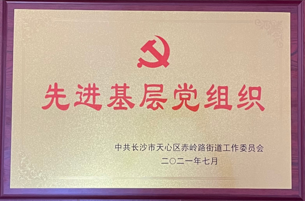 长沙市威龙保安服务有限公司,威龙保安服务,长沙保安公司,湖南保安服务,银行保安,安保公司,明星安保