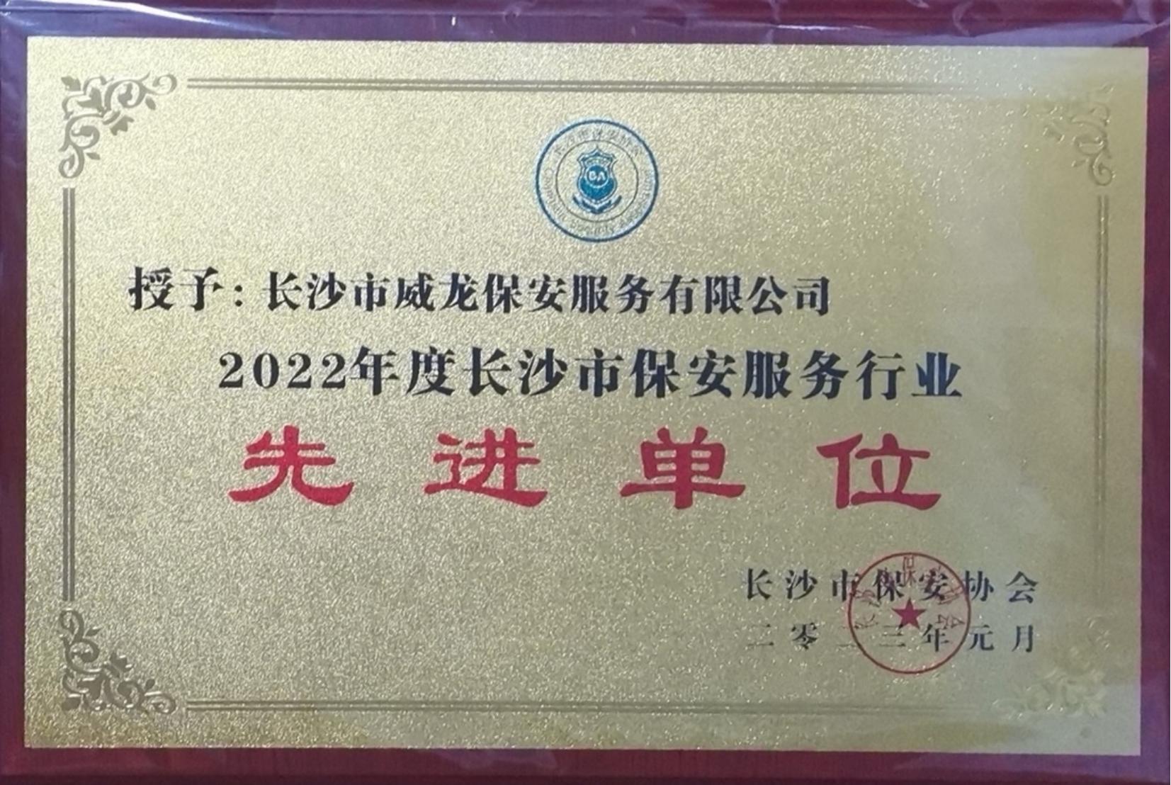 长沙市威龙保安服务有限公司,威龙保安服务,长沙保安公司,湖南保安服务,银行保安,安保公司,明星安保